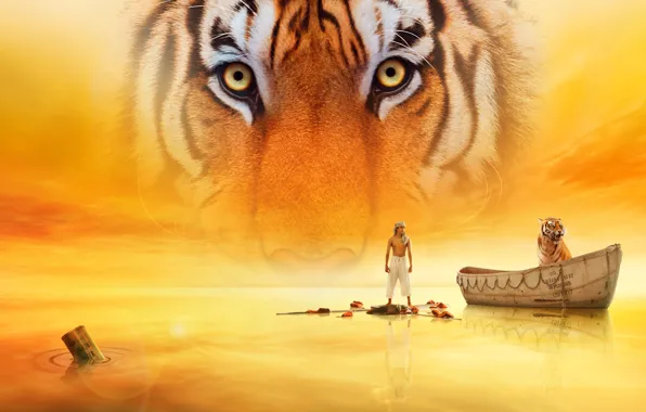 Picture water, tiger, the film, Life Of PI, Life of Pi