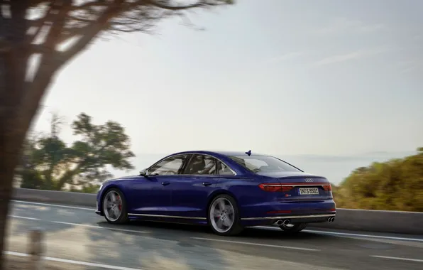 Blue, movement, Audi, sedan, side, Audi A8, Audi S8, 2020