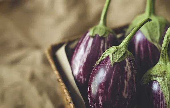 Purple, macro, eggplant