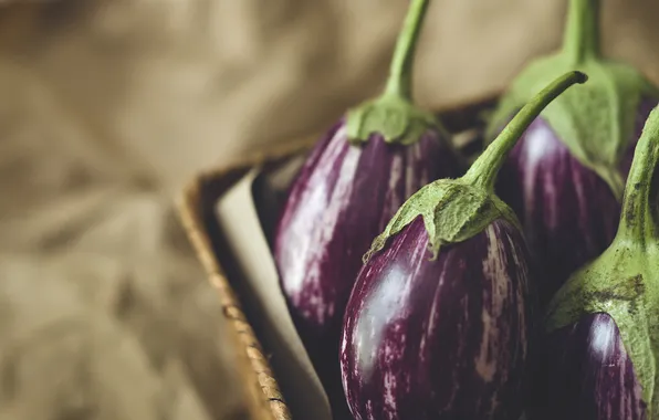 Macro, eggplant, purple