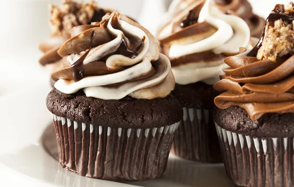 Cream, cupcakes, cupcakes