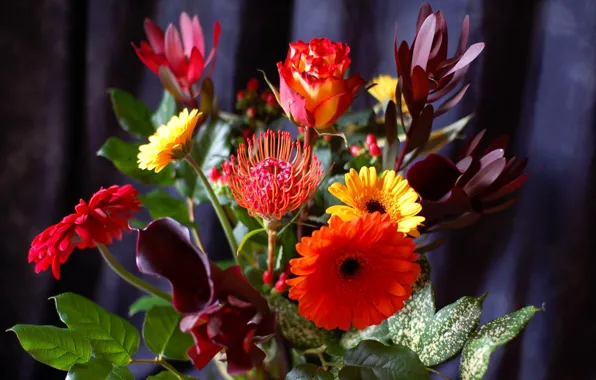 Leaves, bouquet, petals, stem, gerbera
