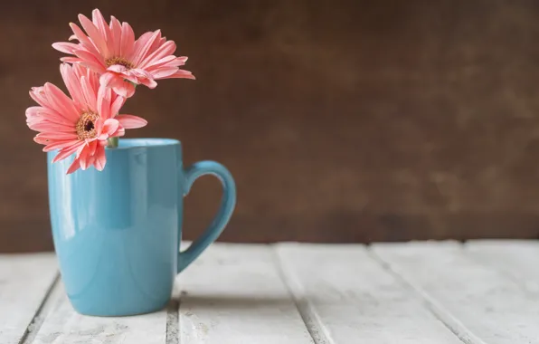 Flowers, Cup, gerbera, wooden table, blue Cup