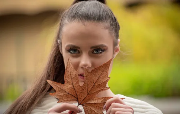 Eyes, look, girl, face, portrait, maple leaf, long hair