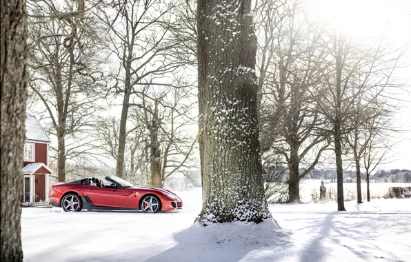 Picture car, Ferrari, trees, snow, SA Aperta, Ferrari SA Aperta