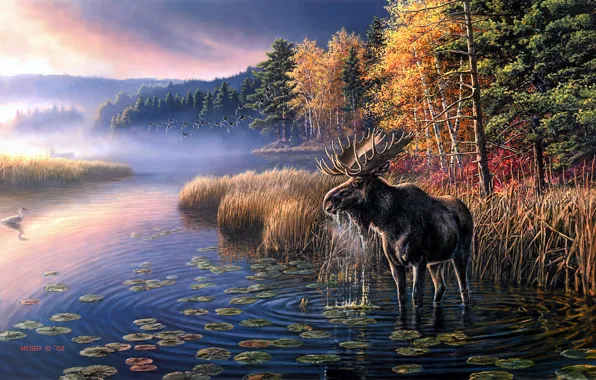 Autumn, forest, the sky, leaves, trees, birds, fog, lake