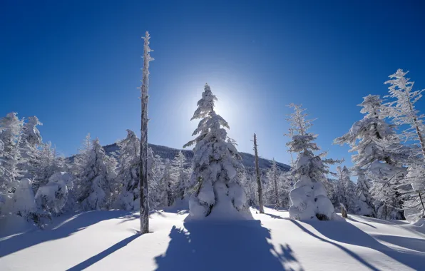 Winter, the sky, rays, snow, trees, mountains