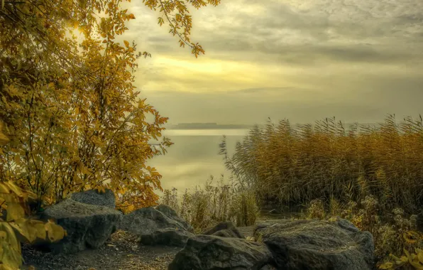 Picture autumn, grass, clouds, fog, river, stones, shore, Russia