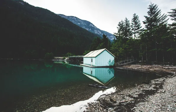 Forest, trees, mountains, lake, hills, home, morning