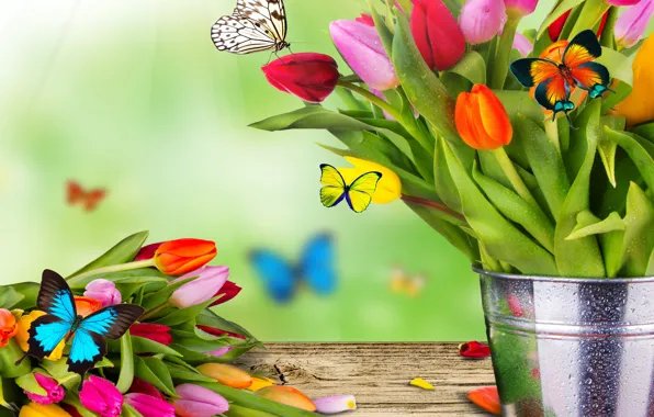 Flowers, collage, butterfly, bouquet, spring, bucket, tulips, moth