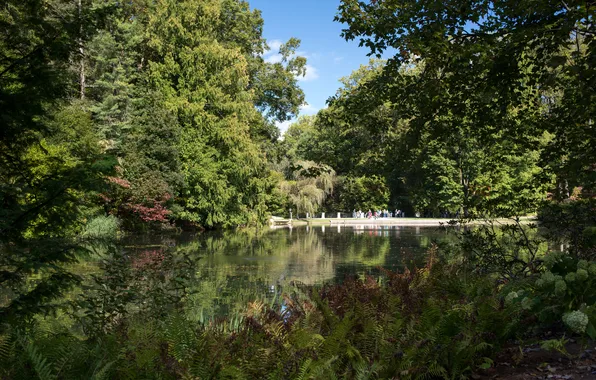 Greens, trees, pond, Park, USA, Longwood, Kennett Square