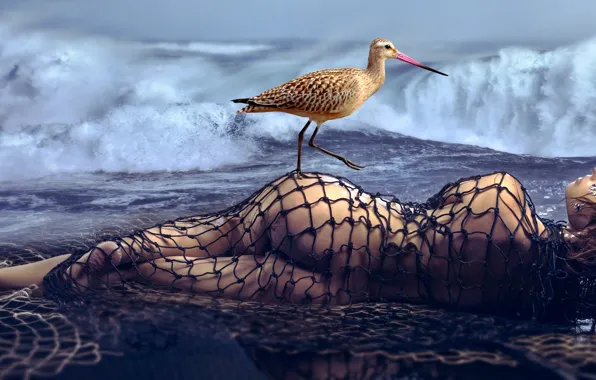 Water, Sea, Beach, Girl, Bird, Wave, Blonde, Ass