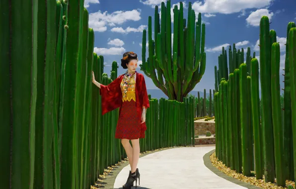 Model, Japan, cacti, fashion