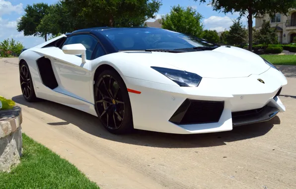 Roadster, Lamborghini, White, Aventador