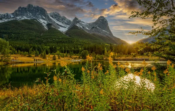 Picture mountains, shore, the bushes, pond, foliage, branches, autumn, forest
