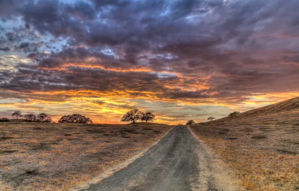 Road, field, the sky, landscape