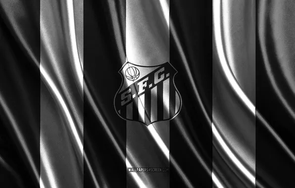 Logo, Football, Brazil, Club, Soccer, Brasil, Emblem, Symbol