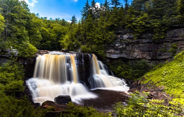 Forest, trees, stones, rocks, waterfall, USA, West Virginia