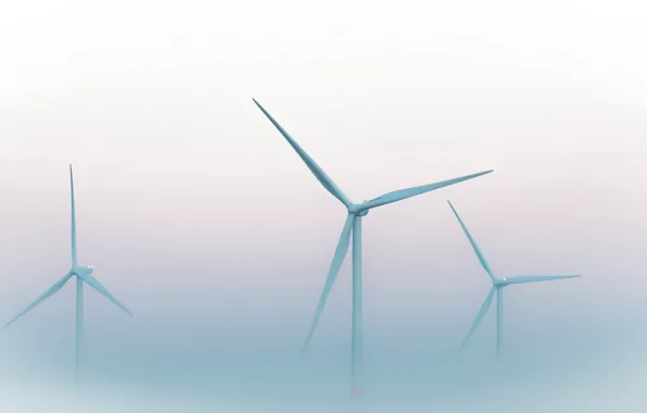 Picture nature, fog, windmills