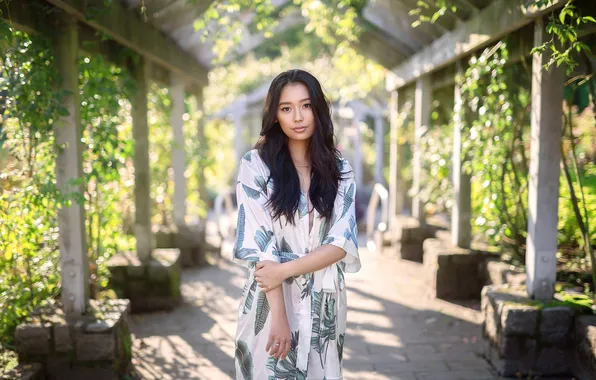 Picture dress, model, women, brunette, depth of field, looking at viewer, Asian, frontal view