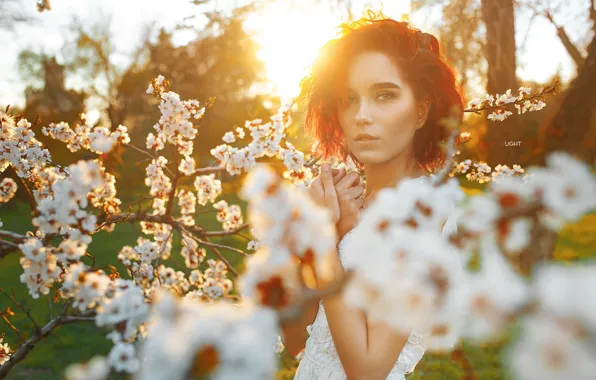 Picture look, girl, branches, face, spring, flowering, flowers, Alexander Drobkov-Light