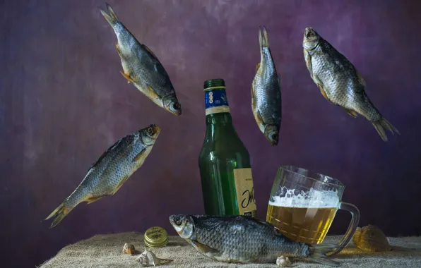 Flight, table, bottle, food, beer, fish, shell, mug