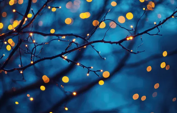 Winter, light, night, branches, lights, glare, lights, tree