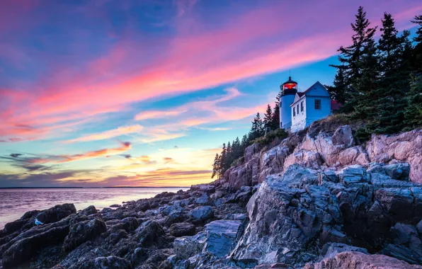Picture clouds, trees, landscape, nature, stones, the ocean, rocks, dawn