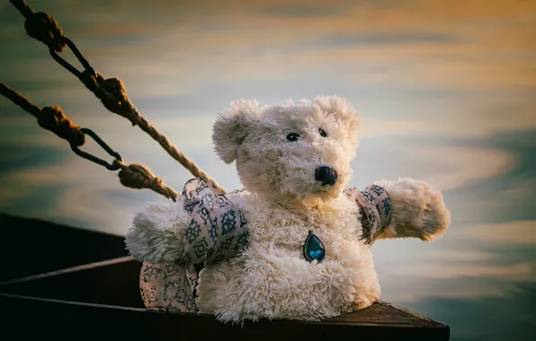 Picture toy, bear, pendant, Titanic, ropes, Teddy bear