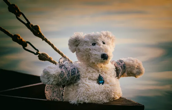 Toy, bear, pendant, Titanic, ropes, Teddy bear