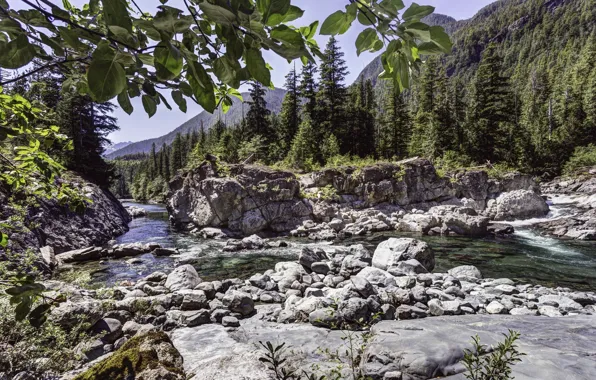 River, Stones, Ate