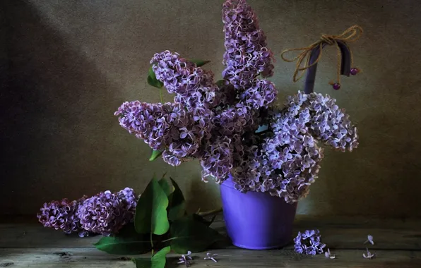 Bouquet, lilac, inflorescence