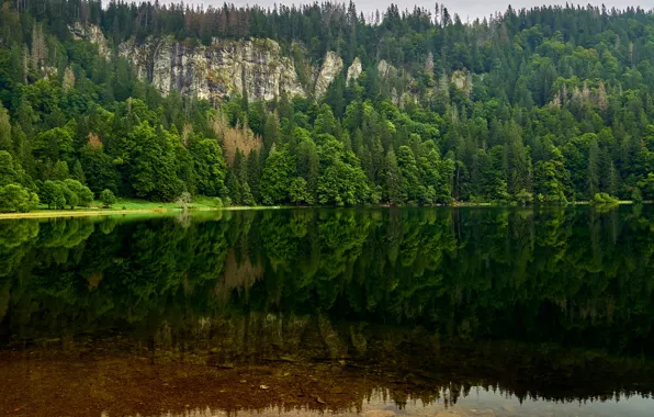 Greens, forest, summer, water, trees, mountains, lake, reflection