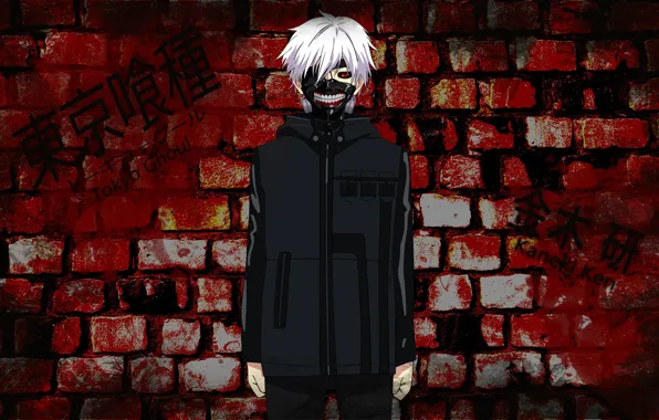 Wall, guy, Tokyo Ghoul, Tokyo Ghoul, The Kaneko Ken
