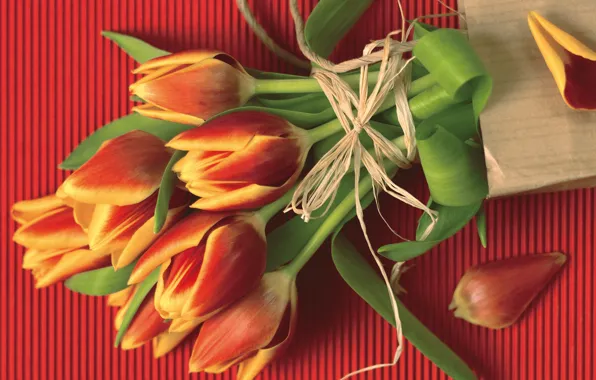 Red, bouquet, rope, petals, tulips