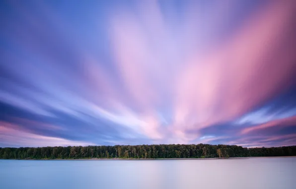 Forest, clouds, lake, pink, 156