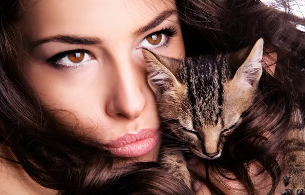 Cat, look, girl, brown hair, striped, curls, brown-eyed