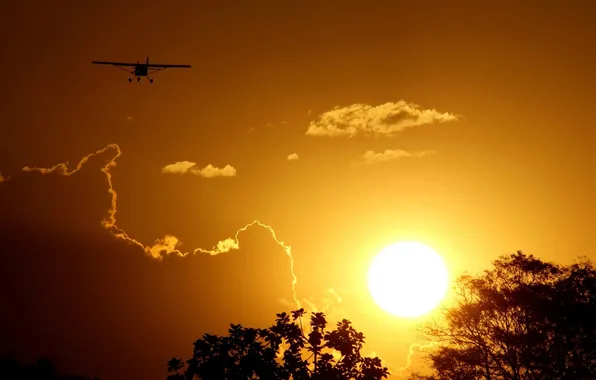 The sky, the sun, sunset, nature, the plane, the tops of the trees