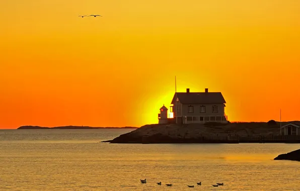 Sunset, birds, house, island, glow, Sweden, The Baltic sea, Gotland