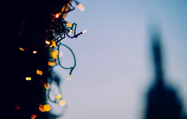 Background, tree, Wallpaper, tree, new year, blur, lights, wallpaper