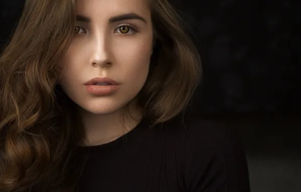 Look, background, portrait, makeup, hairstyle, brown hair, beauty, in black