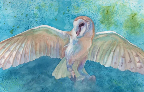 Background, owl, art, white