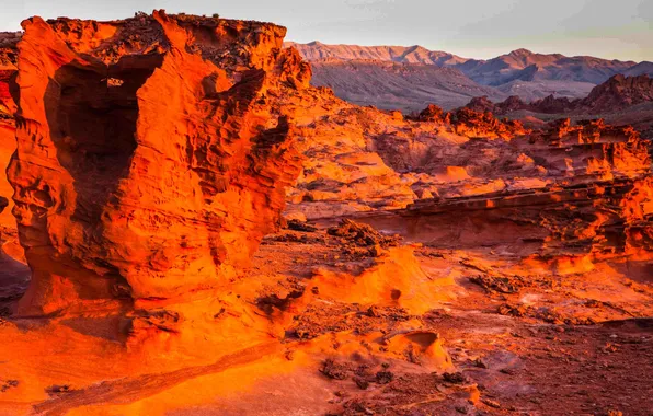 Picture rocks, desert, glow, USA, Nevada, Gold Butte