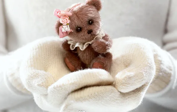 Picture photo, Toy, Bear, Hands