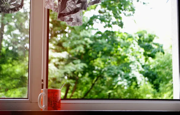 Greens, trees, window, mug, Cup