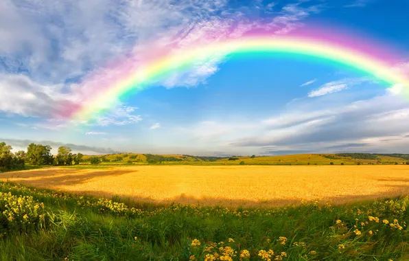 Greens, trees, flowers, the wind, hills, rainbow, panorama