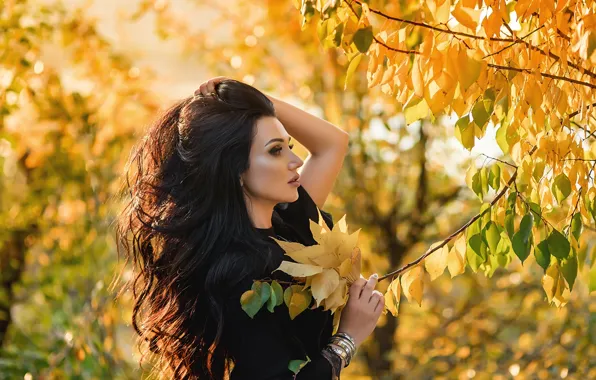 Picture autumn, leaves, pose, hair, Girl, brunette, A Diakov George