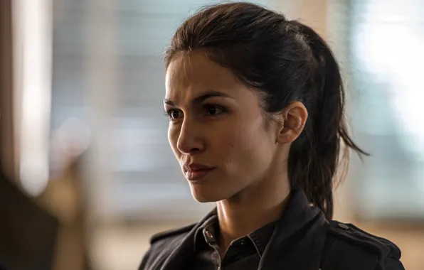 Picture the film, frame, Elodie Yung, Elodie Yung, The Hitman's Bodyguard, Bodyguard killer