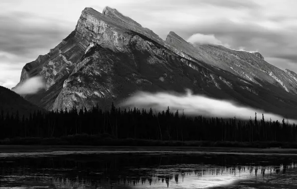 Picture trees, mountains, nature, river, rocks, Canada, black and white, monochrome