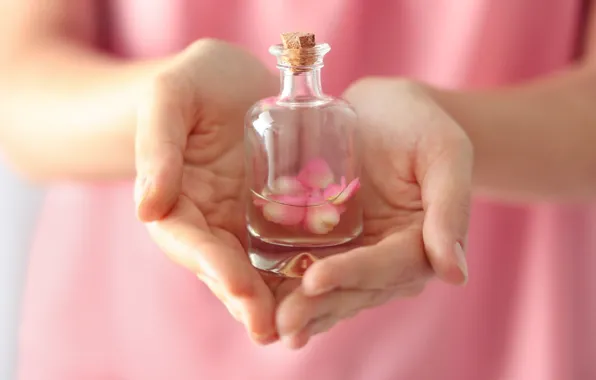 Spirit, petals, rose, pink, petals, pink roses, anoint